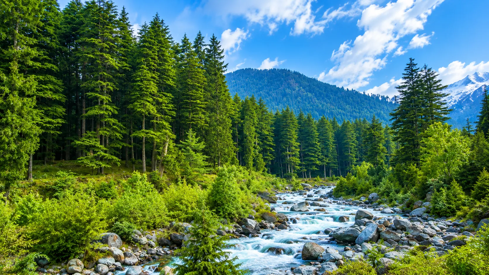 manali